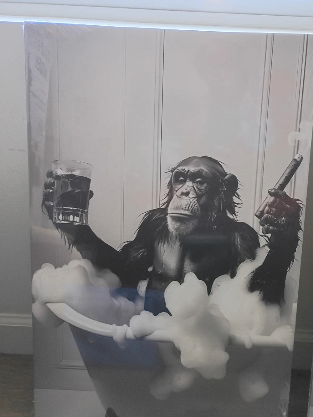 Black & White Chimpanzee Bath Art Print for Home Bath